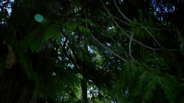 Arrow s2 ep2 Flash Back #2 (Arrow Season 4) смотреть онлайн