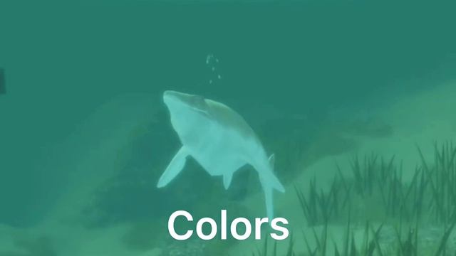 Platecarpus remodel смотреть онлайн