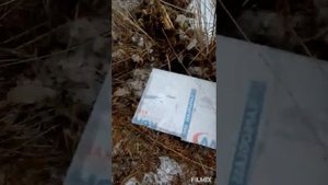 Охота на ОНДАТРУ мордой и проверка капканов на корсука