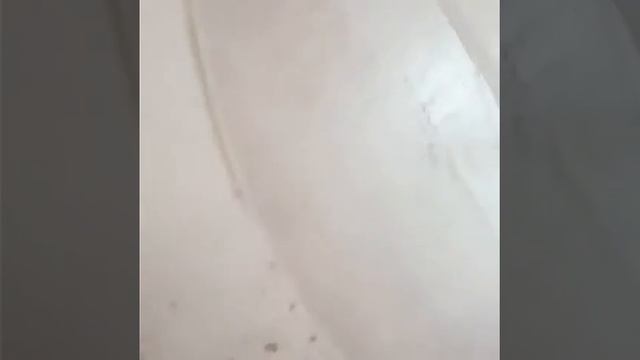 Шпатлевание стен. Первый проход.