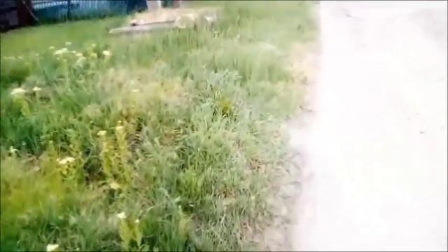 (ПАРОДИЯ*) Мы искали маньяка,а он нашел нас сам Часть 2 смотреть онлайн