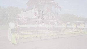 Работа жатки для уборки сои ЖУЗБ Flex Harvest Sanfloro. Соевая жатка Санфлоро преимущества