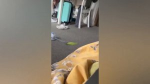 BEST CUBE compilation v50 #funnyvideos #trynottolaugh #memescompilation