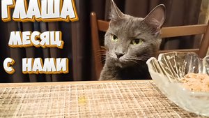 Глаша месяц с нами.