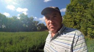 Трактор Т-40АМ коса роторна (третій укос 2020)