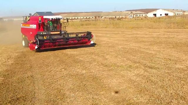 комбайны и фазаны смотреть онлайн