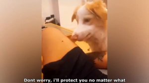 BEST CUBE compilation v45 #funnyvideos #trynottolaugh #memescompilation