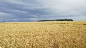 с. Чернышово