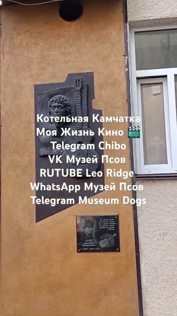 Котельная Камчатка 🐕 Виктор Цой 🎸 Цой 👍 Камчатка 🌋 Котельная 🛰️ Моя Жизнь Кино 🎬 Музей Псов смотреть онлайн