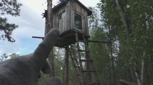 Пришел в лабаз через 6 лет