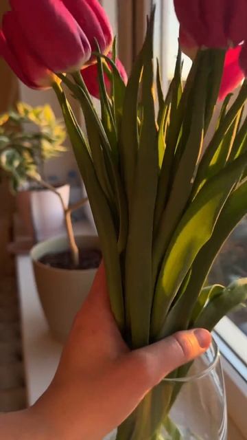 С Международным женским праздником! смотреть онлайн