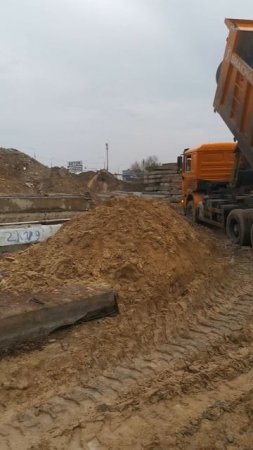 VID_20250312_103623.mp4