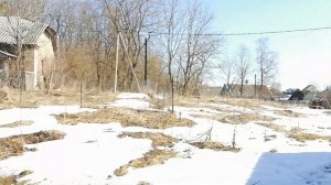 Деревня Торосово, Волосовский район. 9.04.2023.