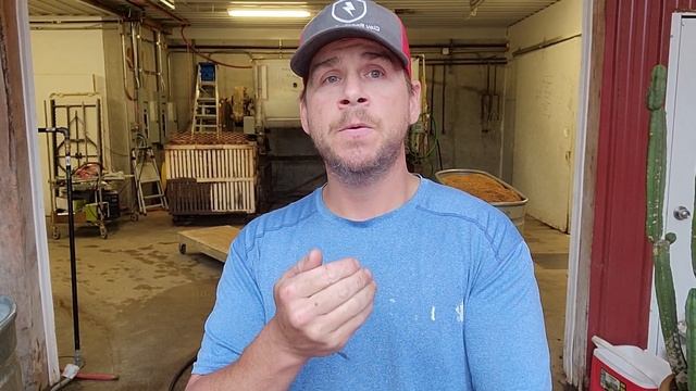 Mushroom Cultivation- Hydrating Grain for Grain Spawn смотреть онлайн