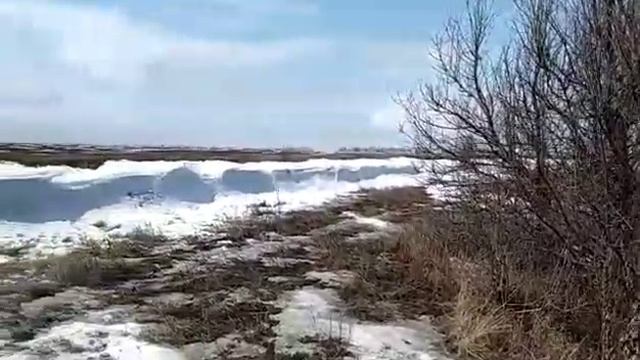 28 марта 2018 г. смотреть онлайн