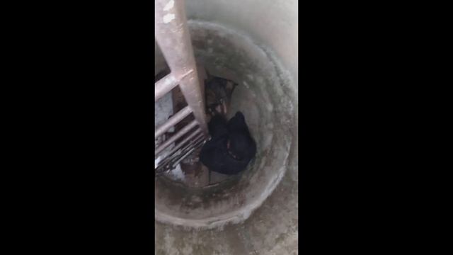 22.02.2023г. СПЕЦИАЛЬНАЯ ОПЕРАЦИЯ ПО СПАСЕНИЮ СОБАКИ-ПРОШЛА УСПЕШНО