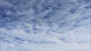 "Simplest Simple Delta" Scratch Built RC Flying Wing