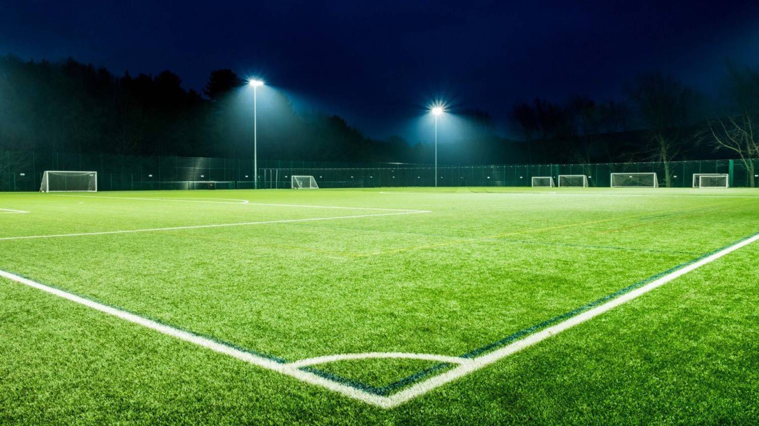 Campo de fútbol profesional