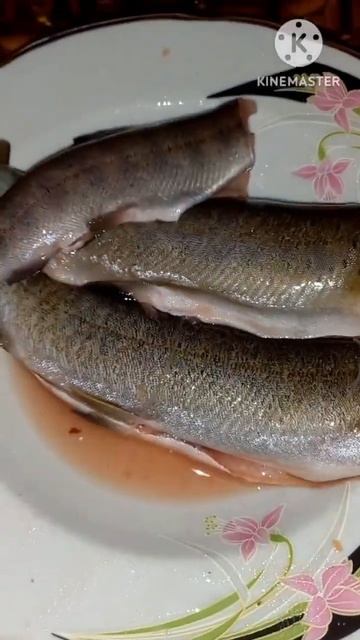 Мой ужин. Свежевыловленный ленок. #еда #рыба #мясо смотреть онлайн