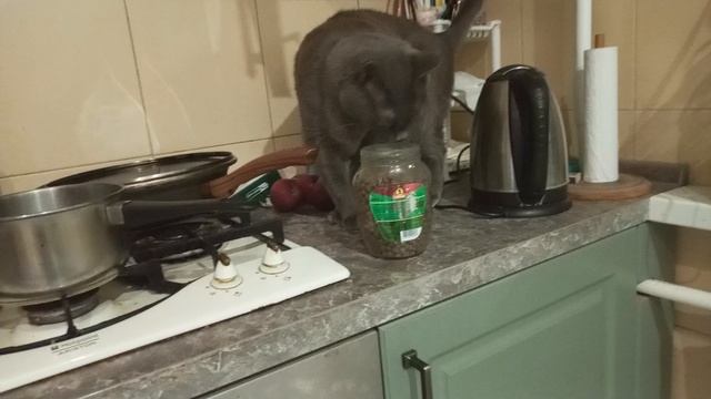 1000001763.mp4 смотреть онлайн