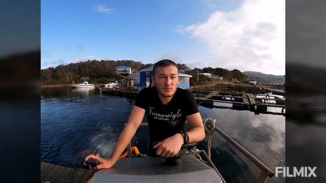 Media yig'ish jarayoni Вышли мидии собрать смотреть онлайн