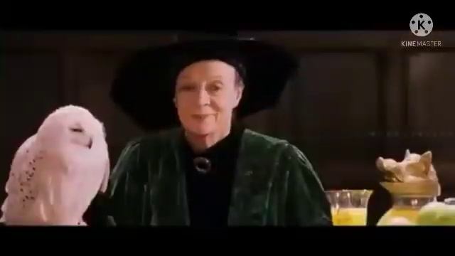 HarryPooter 1 Malayalam Explaination|Who Stole The Philipinos Stone|Cinemastellar|Cinema Katha смотреть онлайн