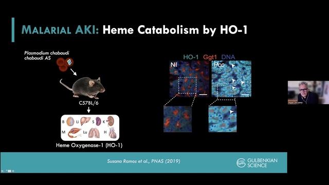 Miguel Soares - Metabolic reprogramming as a defense strategy against infection