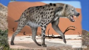 DINOCROCUTA "HIENA TERRIBLE"