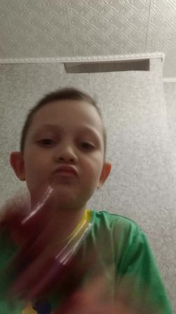 сви