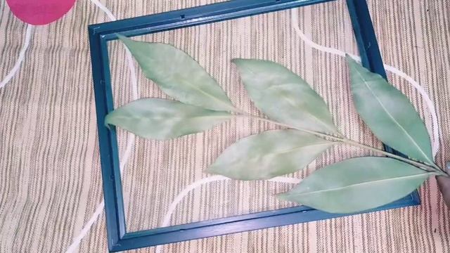 #Diy #Decoridea iron pressed leaf frames/पत्तों से बनायें आकर्षक फ्रेम