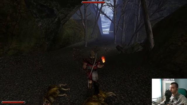 Gothic 2 Прохождение➤ Часть 3➤ Время приключений ➤50 лайков +час стрима смотреть онлайн