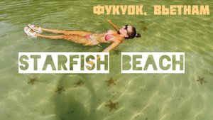 ФУКУОК, ВЬЕТНАМ 2024. ПЛЯЖ СО ЗВЕЗДАМИ. STARFISH BEACH. ОНИ ЖИВЫЕ!