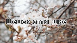 Сакура (Шие) әні .Жапон халық әні (плюс) 5 сынып