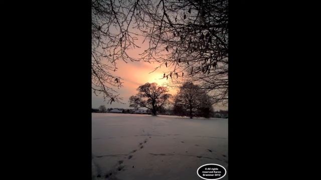 Copy of Sunsets by Karen Brammer Daisy Dog Photos July 2013 1 смотреть онлайн