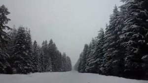 Я все еще верю