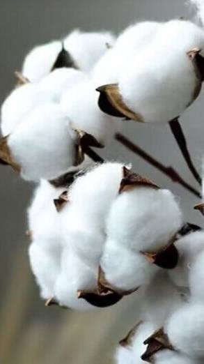 Букет ХЛОПКА своими руками из синельной проволоки