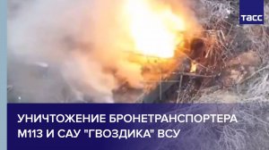 Уничтожение бронетранспортера М113 и САУ "Гвоздика" ВСУ