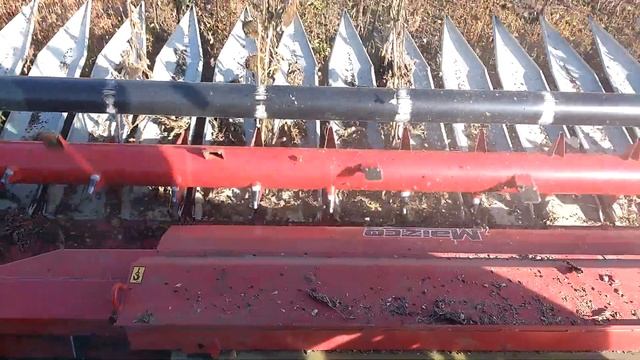 Клаас Медион 310 с жаткой маизко смотреть онлайн