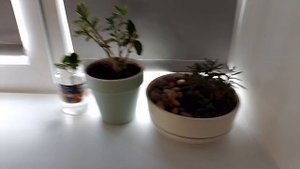 Пять Ночей С Игрушками (Ночь 2)