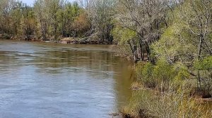 Оренбург.  Урал.  Автомобильный мост, прогулка… Видео Виктор Поживин