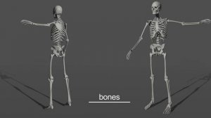 ZIVA VFX | R&D John Wayne Muscle Setup Simulation Breakdown CGI