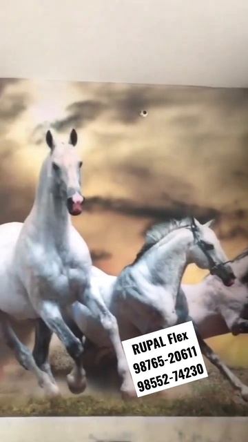 3D Room Wallpaper | RUPAL Flex Sardulgarh | 98765-20611, 98552-74230 смотреть онлайн