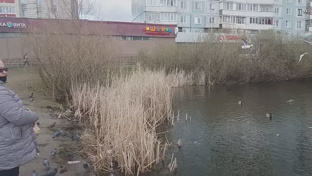 ул. Чуйкова у ПЯТЕРКИ