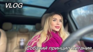 Мое "собачье" питание. Залипательный парусник. Налоговая. Поворотник зло? Ужин за полчаса.