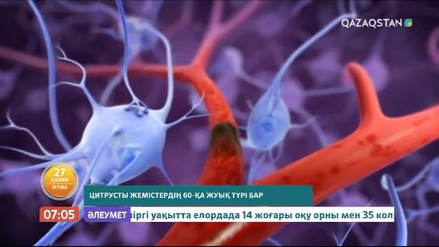 Жастық қалпыңызды сақтайтын 5 тағам смотреть онлайн