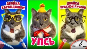 Виды учителей - если бы котики ходили в школу