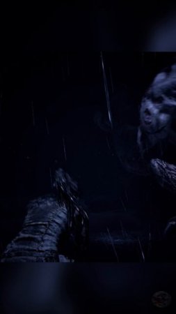 Hellblade: Senua's Sacrifice / PC / Гарм.