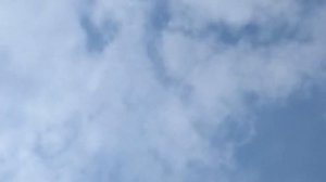 Самара. Голуби Володи Рагузина     5 сентября 2023