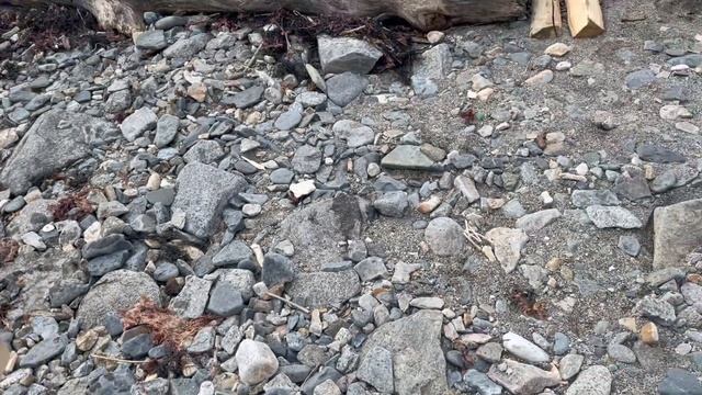 Жарим вкусный сочный шашлык на природе на берегу Охотского моря. Язык проглотишь. В Магадане дубак. смотреть онлайн