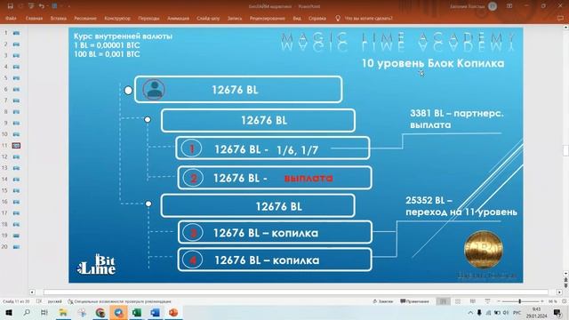 Маркетинг и особенности программы BitLime / программа лояльности платформы Magic Lime Academy